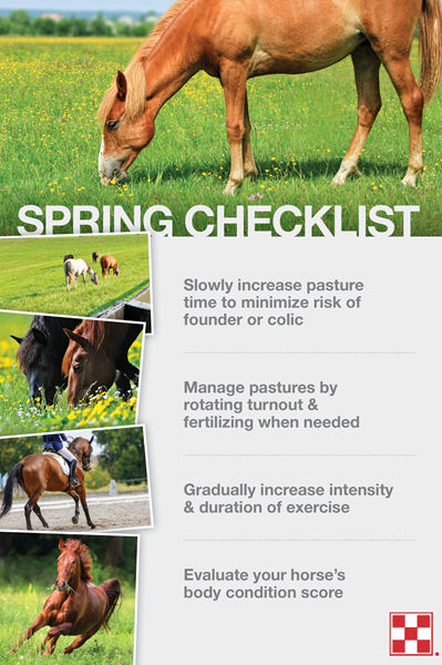 Spring pasture checklist with horses eating grass