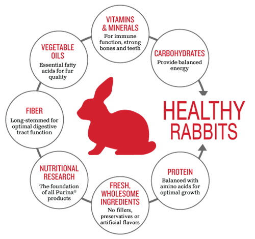 chart for healthy rabbit nutrients