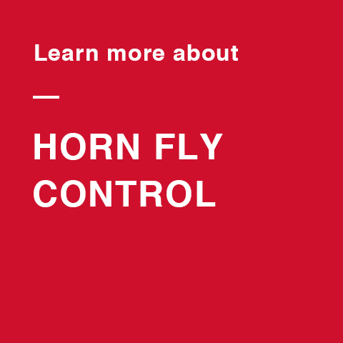 Stop the Buzz in Your Herd with Purina Fly Control