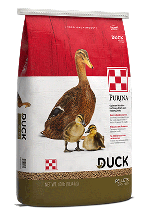 Purina®  Duck Feed