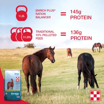 Comparison chart of Enrich<sup>®</sup> Plus horse feed and traditional horse feed