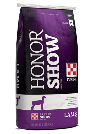 Image of purple and white show lamb feed bag