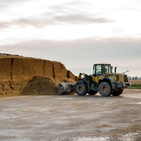 A loader tractor scoops up a bucketful of silage from a bunker silo.