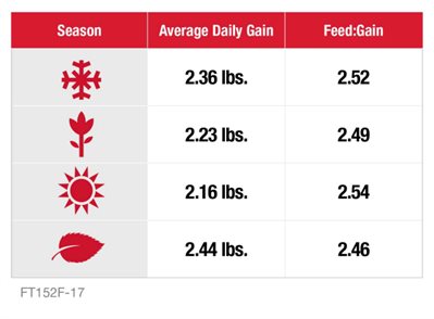 A graph of pig performance by season showing growing pigs and finishing pigs gain ¼ pound less per day in the summer.