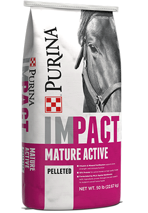 Impact Mature Active pelleted horse feed provides the necessary calories and nutrients