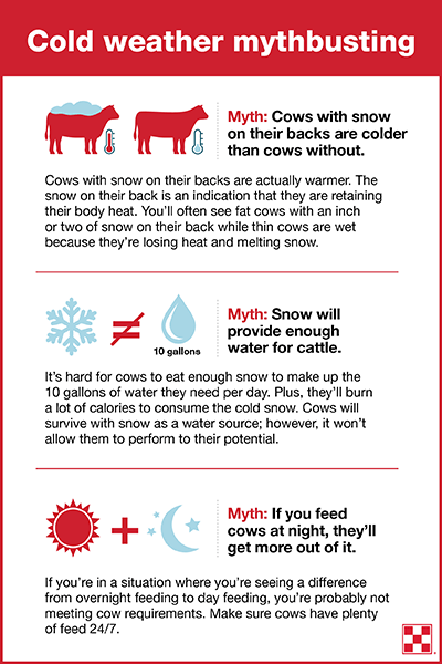 Tips to Survive a Long Winter - How to Get Through The Cold Months