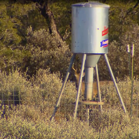 Using Your Deer Feeder Purina Animal Nutrition