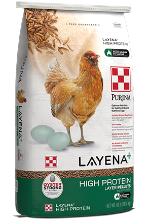 Purina® Layena® + High Protein Layer Feed