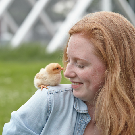 image of a woman with a baby chick on her shoulder