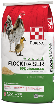 Image of Purina® Flock Raiser® Crumbles poultry feed right side view