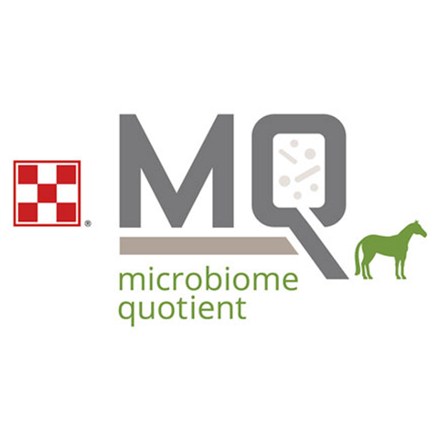 equine microbiome quotient research