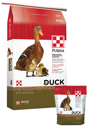 Purina® Duck Feed is specialized to meet the unique nutritional needs of ducks and ducklings