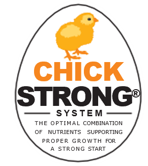 Image of Flock Strong System Logo