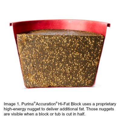 High-energy nuggets for cattle in Purina<sup>®</sup> Accuration<sup>®</sup> Hi-Fat Block