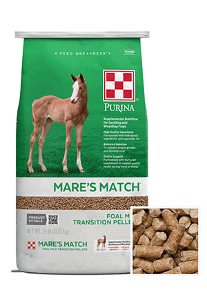 Green and white Mare's Match bag with image of brown foal