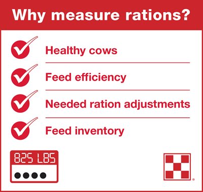 Why should you measure dairy cow feed rations? To ensure cows are healthy, increase feed efficiency, understand needed ration adjustments and measure feed inventory.