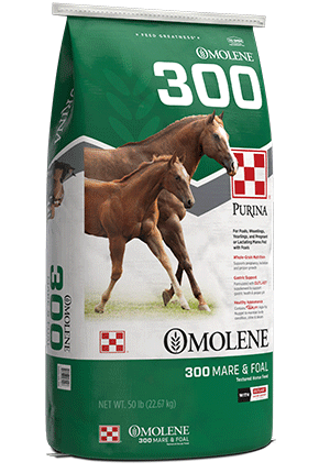 Image of Omolene #300® Mare & Foal horse feed bag