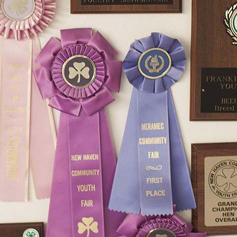image of show ribbons