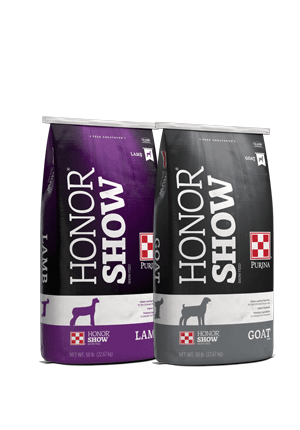 Image of Honor Show gray and white and purple and white show feed bags right facing