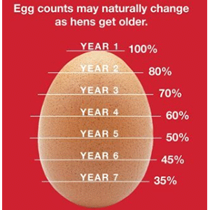 Image of chart showing egg counts by hen age.