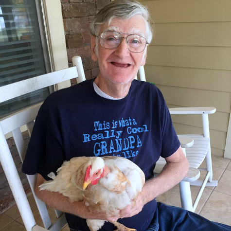 therapy chickens change the world