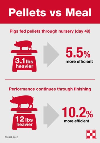 pelleted vs meal feed efficiency infographic