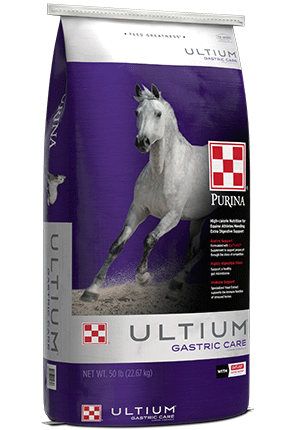 Ultium Gastric Care Horse Feed bag left facing