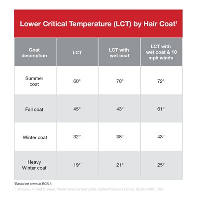 Lower Critical Temperature (LCT) broken down by hair coat for cattle.