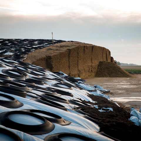 Covered silage pile.