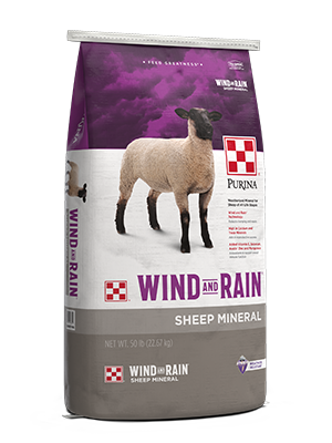 Purina Wind & Rain Sheep Mineral Package