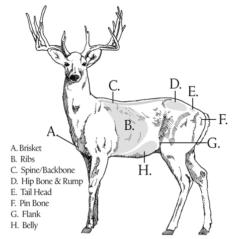 image of a chart for body condition scoring deer