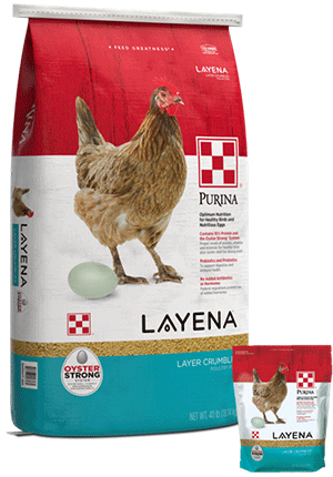  Layena® Layer Feed Crumbles in 10lb and 50lb packages