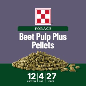 Image of Beet Pulp Plus Pellets