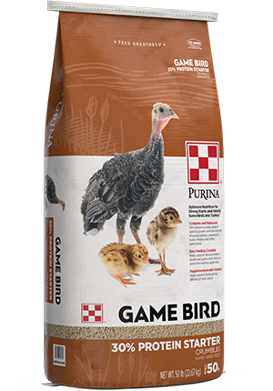 Image of Purina® Game Bird 30% Protein Starter game bird feed package