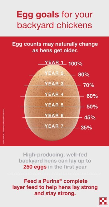 Purina<sup>®</sup> infographic on egg production goals by laying hen age, starting with highest production in year one and fewer eggs each year after.