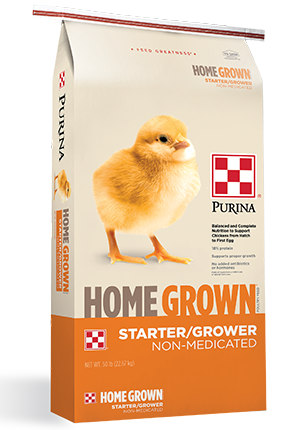 Home Grown Stater-Grower Feed for chicks and pullets