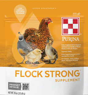 Image of Purina Flock Strong Supplement Package