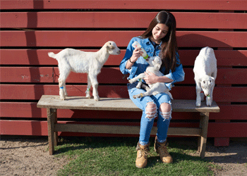 Personn bottle feeding a kid goat with 2 kids standing by her.