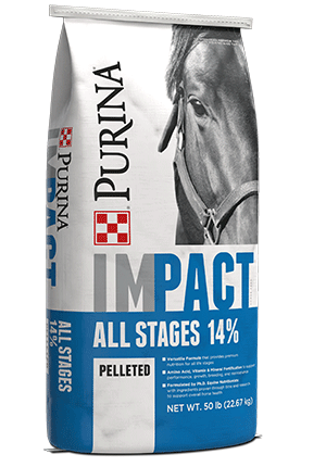Impact All Stages 14% horse feed for horses at all ages and activity levels