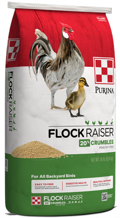Image of Purina® Flock Raiser® Crumbles poultry feed