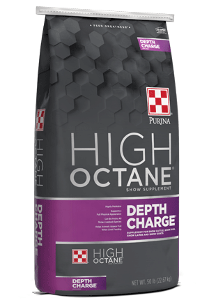 Depth Charge