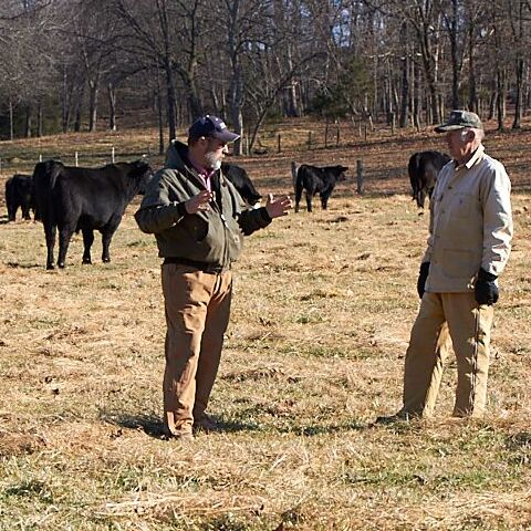 A cattle producer and Purina nutritionist speak in a pasture with cattle in the background. 