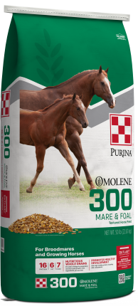 Image of Omolene #300® Mare & Foal horse feed bag
