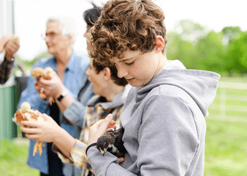 Close up of boy holding chick