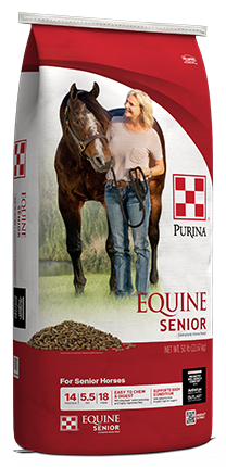 EQUINE SENIOR