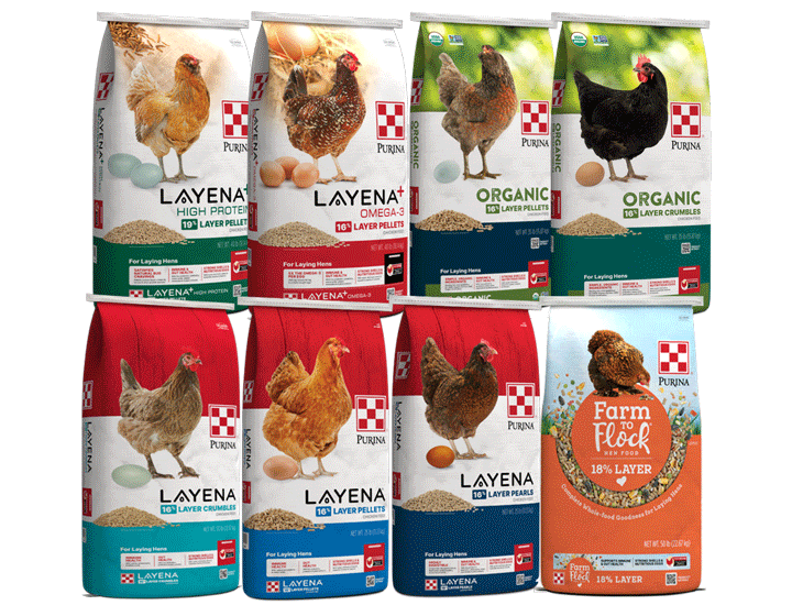 Purina Flock complete layer feed packages