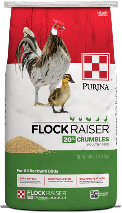 Image of Purina® Flock Raiser® Crumbles poultry feed front view