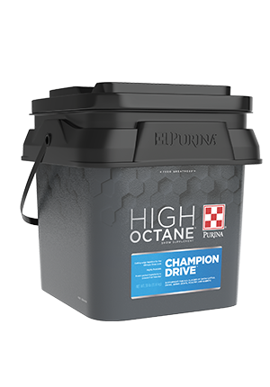 Image of High Octane® Champion Drive™ Topdress (30lb) show feed
