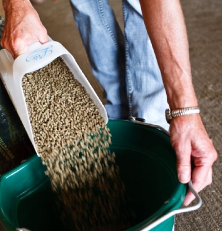 image of feed in a scoop 