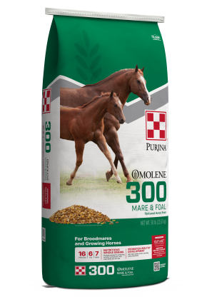 Image of Omolene #300® Mare & Foal horse feed bag